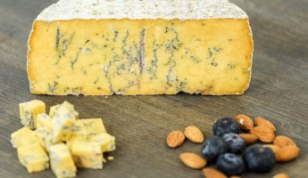 Шропшир Блю