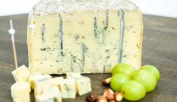 Горгонзолла